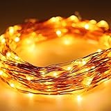 Hon&Guan ソーラー式 LEDイルミネーションライト 10m 100球 防水タイプ ガーデンライト高輝度 高品質クリスマスやイベントに最適