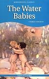 The Water Babies: A Fairy Tale for a Landbaby (Wordsworth Children's Classics) 013