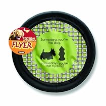 Petmate Designer Dog Flyer Someday's You Are The Dog, Someday's You Are The Hydrant