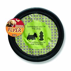 Petmate Designer Dog Flyer Someday's You Are The Dog, Someday's You Are The Hydrant