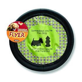 Petmate Designer Dog Flyer Someday's You Are The Dog, Someday's You Are The Hydrant