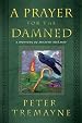 A Prayer for the Damned: A Mystery of Ancient Ireland (Mysteries of Ancient Ireland featuring Sister Fidelma of Cashel)