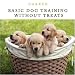 Basic Dog Training Without Treats