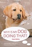 Why is my dog doing that? : understanding your pet's puzzling behaviour