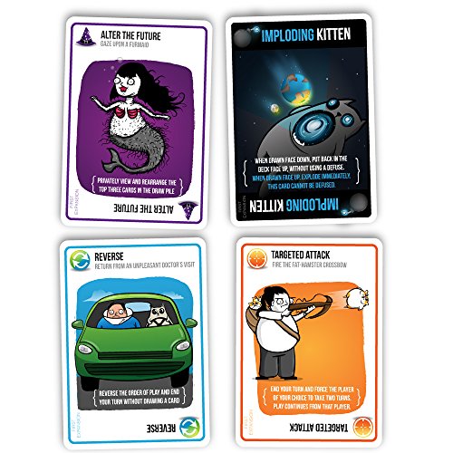 Imploding-Kittens-This-is-the-First-Expansion-of-Exploding-Kittens
