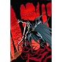 Batman #655 Poster By Andy Kubert 24" x 36"