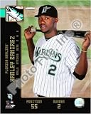FramingSPORTS.com