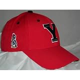 Youngstown State Penguins Adult Adjustable Hat