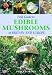 Field Guide Edible Mushrooms of Britain and Europe