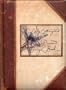 Lady Cottington's Pressed Fairy Book