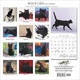 Black Cats 2008 Calendar