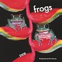 Frogs 2008 Square Wall Calendar (Multilingual Edition)