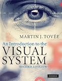 An Introduction to the Visual System