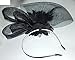 Coolr Women's Fascinators Hat Small Hairpin Feather Mesh Flower Hairclip (Black)