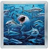 Puzzle AMAZONMARKET