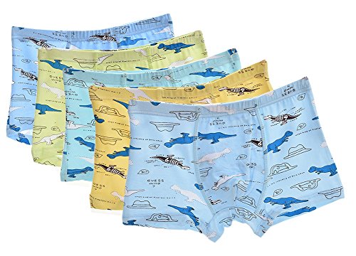 CHUNG Little Boys' Soft Modal Boxer Briefs (Pack of 5)