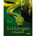 Schlangen & Reptilien: Arten, Lebensr�ume, Verhalten