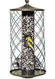 51lTYlDcyML. SL160  Buy Squirrel Proof Feeders Now