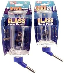 Lixit Glass Bird Bottle (16 oz)