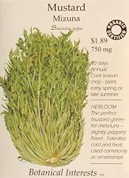 Mustard Greens Mizuna Certified Organic Heirloom Seeds 175 Seeds