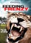 Feeding Frenzy