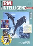PM Intelligenz-Trainer