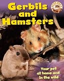 Gerbils and Hamsters (Pets Plus)