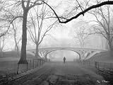 Gothic Bridge, Cental Park, NYC by Henri Silberman - 15 3/4 x 19 3/4 inches - Fine Art Print / Poster