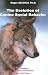 The Evolution of Canine Social Behavior