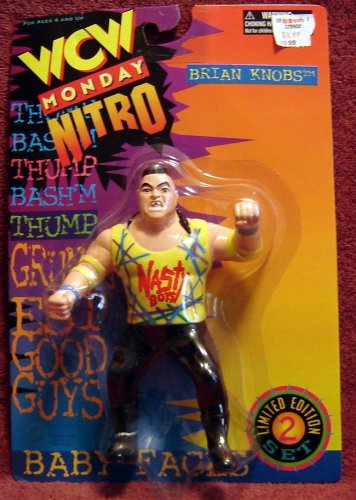 WWE Action Figure-WCW Brian Knobs and Jerry Sags The Nasty Boys Wrestling Action Figures WWF WWE ECW NWO-The Original San Francisco Toymakers WWE Action Figure