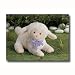 Plush Blessed Little Lamb 10