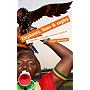 Elephants, Lions and Eagles: A Journey Through African Football