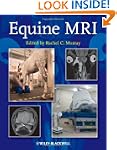 Equine MRI