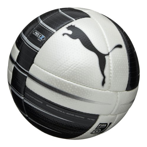 PUMA Fu&szlig;ball PowerCat 2.10 Match (FIFA Appr), white-black-PUMA silver-fluo blue, 5 Preisvergleich