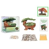 51lU%2BYsJC2L. SL160  Bonsai Babyland   Red Maple Kit. Grow Bonsai Trees from seed with this exclusive and unique Bonsai Babyland planter.