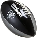  : Wilson NFL Team Logo Underglass Football (Oakland Raiders)
