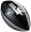 Oakland Raiders