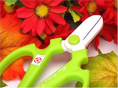 坂源 【春の限定色】ハンドクリエーションF1