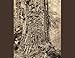 The Brix Logging Story: In the Woods of Washington and Oregon