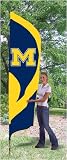 Michigan Wolverines Team Pole Flag