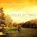 Voices of Trees - Modern Works by Women Composers for Clarinet and Piano