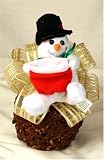 erin's sugarfree frosty bear apple