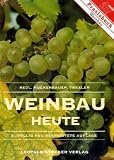Weinbau heute: Handbuch f&uuml;r Beratung, Schulung und Praxis - Helmut Redl, Walter Ruckenbauer, Hans Traxler