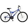 Pacific Evolution Men's Mountain Bike (26-Inch Wheels)