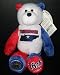 Limited Treasures 50 States of America Coin Bears Tennessee Bean Bear With State Quarter on Foot