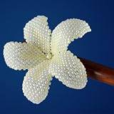 Hawaiian Plumeria flower - pale ivory - beaded bridal flower (hair stick)