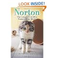 Norton, The Loveable Cat Who Travelled the World