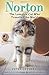 Norton, the Loveable Cat Who Travelled the World. Peter Gethers