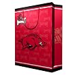 Arkansas Razorbacks NCAA Large Gift Bag (15.5 Tall)"