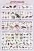 (24x36) Arthropods Insects Educational Science Chart Poster